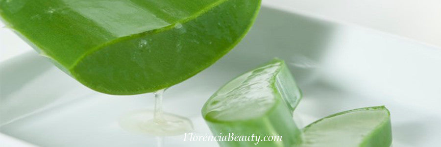 Aloe Barbadensis Leaf Juice in Skin Care