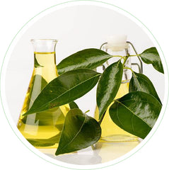 Camphor Oil Skincare Benefits