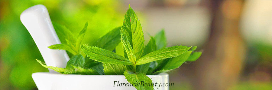 Mentha Piperita (Peppermint) Leaf Oil in Skin Care