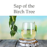 Sap of the Birch Tree Benefits in Florencia Skincare