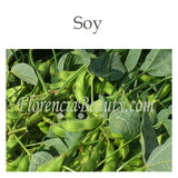 Soy and Soy derived Ingredients Benefits in Skincare
