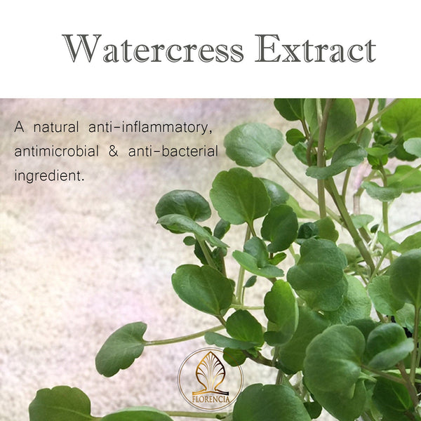 Watercress extract is a natural anti-inflammatory, antimicrobial and anti-bacterial ingredient.