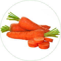 Carrot Root Extract