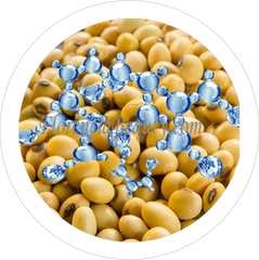 Hydrolyzed Soy Protein, Soy Peptide in Skincare