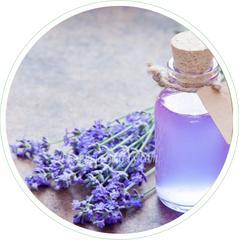 Lavender Oil in Skin Care