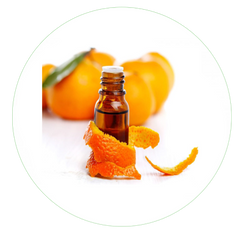 Orange Peel Oil increases the production of collagen, has antibacterial properties and works to condition the skin and infuse it with antioxidants. 