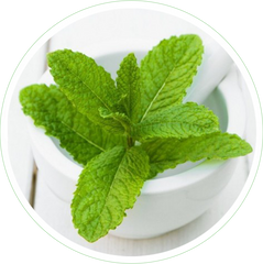 Peppermint Leaf Oil 