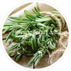 Rosemary Leaf Extract 